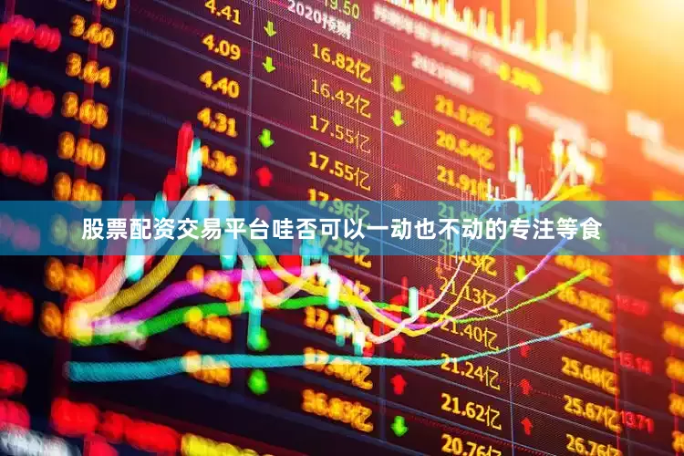 股票配资交易平台哇否可以一动也不动的专注等食