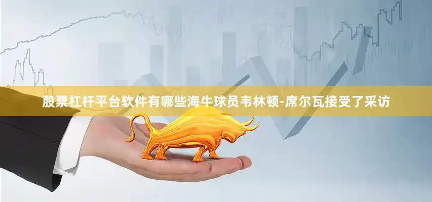 股票杠杆平台软件有哪些海牛球员韦林顿-席尔瓦接受了采访