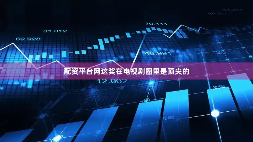 配资平台网这奖在电视剧圈里是顶尖的
