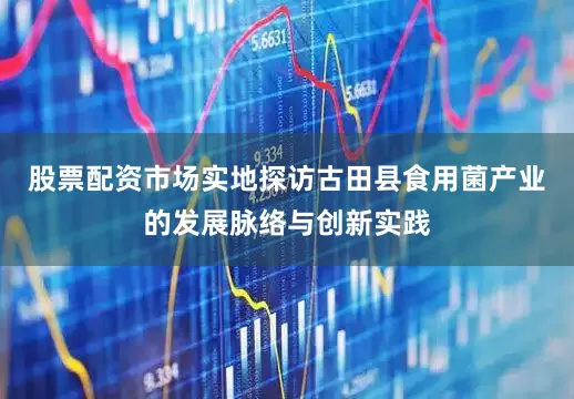 股票配资市场实地探访古田县食用菌产业的发展脉络与创新实践